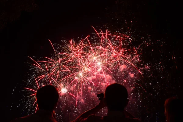 Les Gens Qui Regardent Des Feux Artifice Dans Parc — Photo