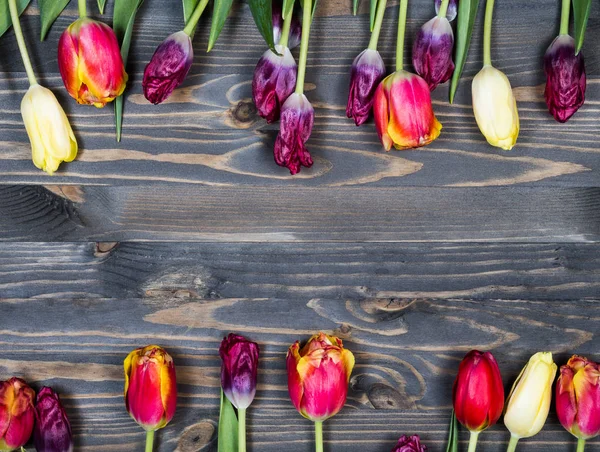 Tulips Wooden Background — Stock Photo, Image