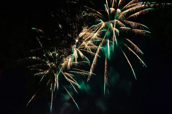 Wunderschönes Feuerwerk Nachthimmel — Stockfoto