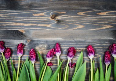 Ahşap arka planda laleler.