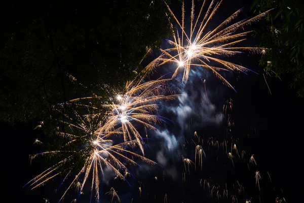 夜空に美しい花火 — ストック写真