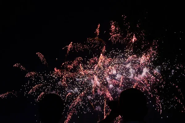 Menschen Beobachten Feuerwerk Park — Stockfoto