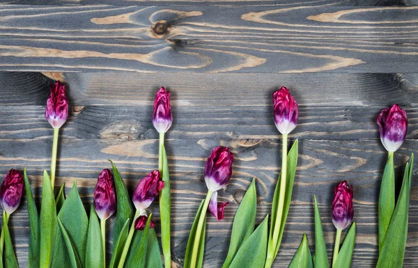 Tulips Wooden Background — Stock Photo, Image