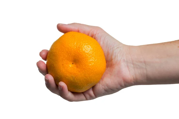 Orange Juicy Tangerines Water Drops Isolated White Background Hand — Stock Photo, Image