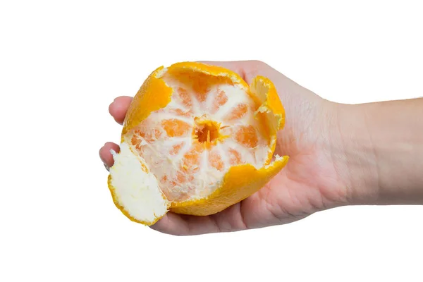 Апельсиновый Сочный Очищенный Мандарины Руке Изолированы Белом Фоне — стоковое фото
