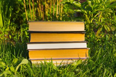 satır çimlerin üzerine yerleştirilen kitaplar görünümünü kapat