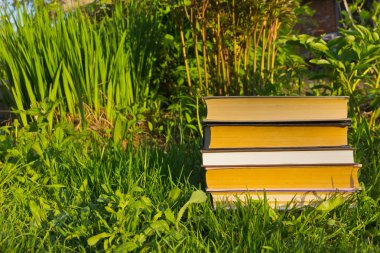 satır çimlerin üzerine yerleştirilen kitaplar görünümünü kapat