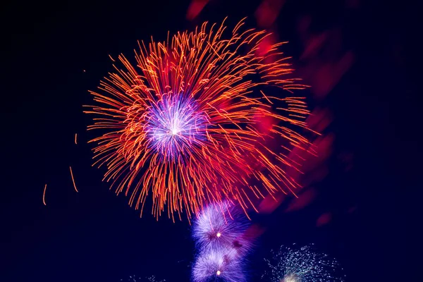 Fireworks Background Trees Dark Sky — Stock Photo, Image