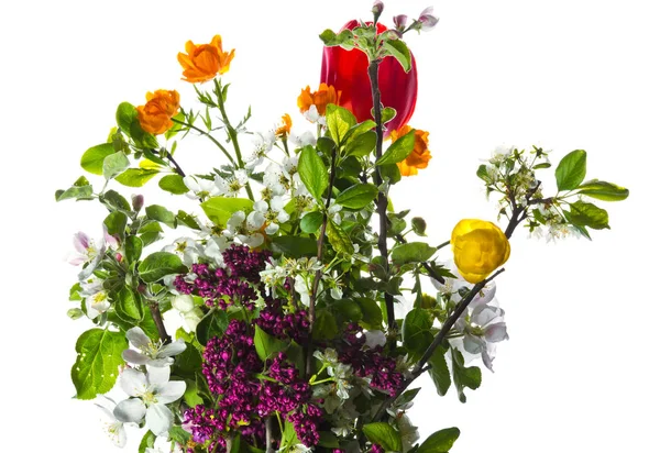 Närbild Bild Vackra Färgglada Blommor Bakgrund — Stockfoto