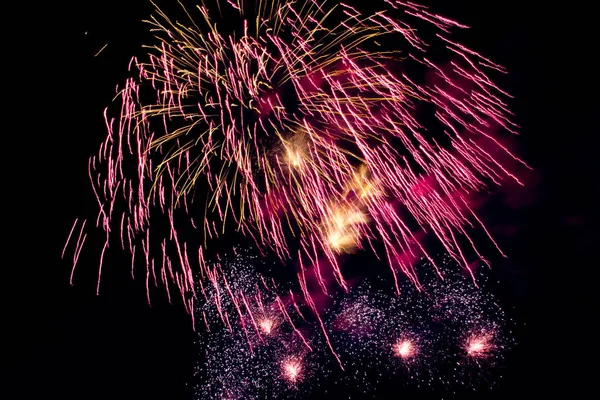 Fireworks Background Trees Dark Sky — Stock Photo, Image