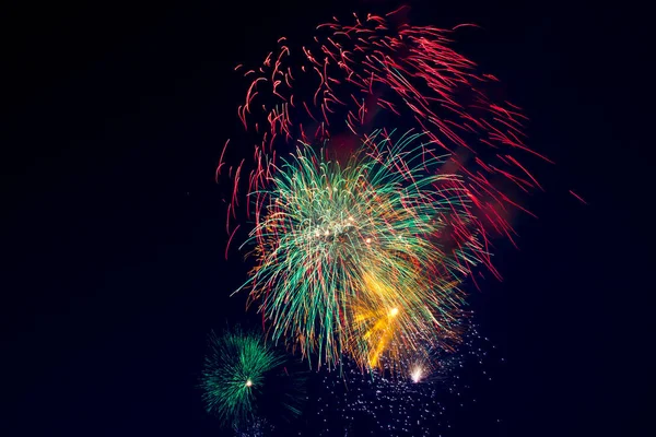 Fireworks Background Trees Dark Sky — Stock Photo, Image