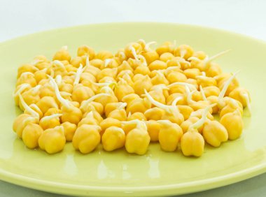 Filiz üzerinde yeşil plaka görünümü Kapat