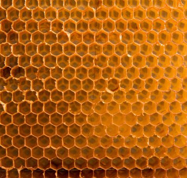 Eski sarı boş petek