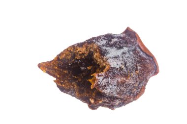 Beyaz arka plan üzerinde izole soyulmuş Trabzon hurması kurutulmuş