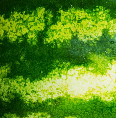 taze lezzetli karpuz arka plan görünümünü kapat