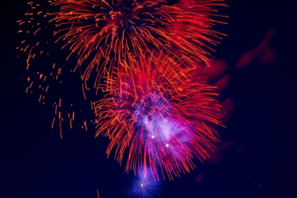 Fireworks Background Trees Dark Sky — Stock Photo, Image
