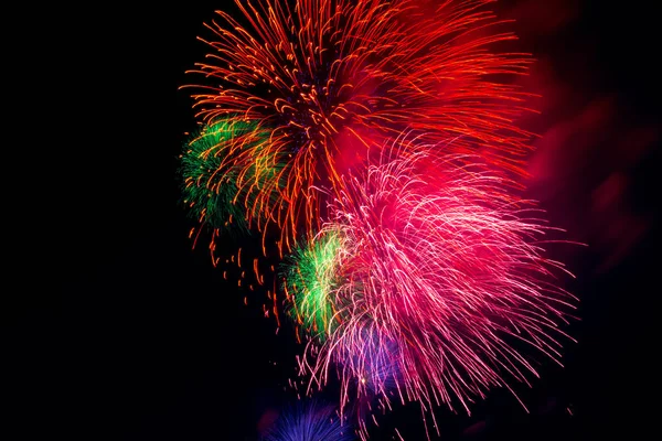 Feuerwerk Vor Dem Hintergrund Von Bäumen Und Dunklem Himmel — Stockfoto