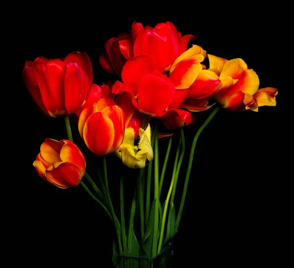 Güzel Renkli Çiçekler Arka Plan Görünümünü Kapat — Stok fotoğraf