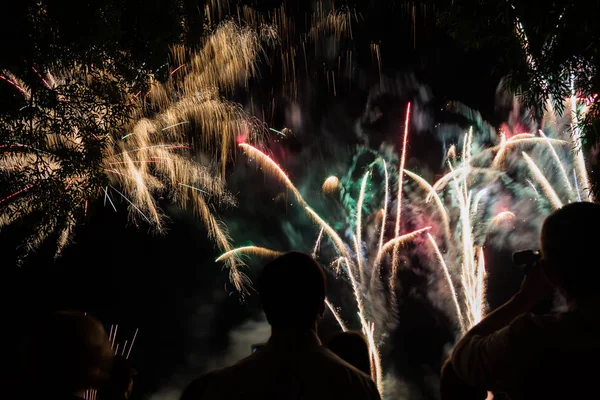 People Watching Bright Glowing Fireworks — Stock Photo, Image
