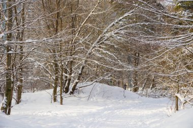 Batan güneşin ile güzel bulanık kış manzarası