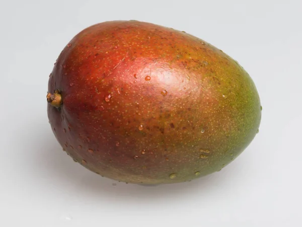 Mango Een Grijze Achtergrond — Stockfoto