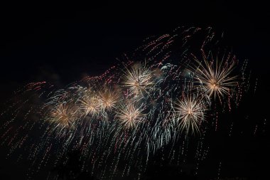 Ağaçlar ve karanlık gökyüzü arka plan üzerinde havai fişek.