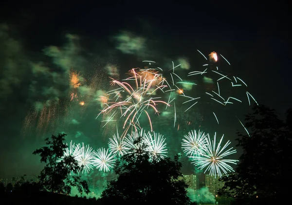 Fireworks Background Trees Dark Sky — Stock Photo, Image