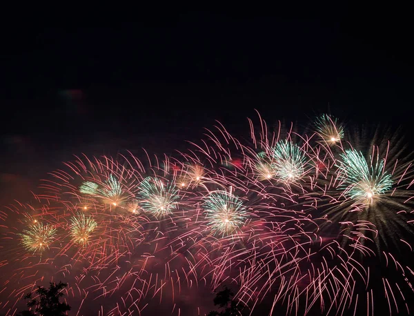 Feuerwerk Vor Dem Hintergrund Von Bäumen Und Dunklem Himmel — Stockfoto