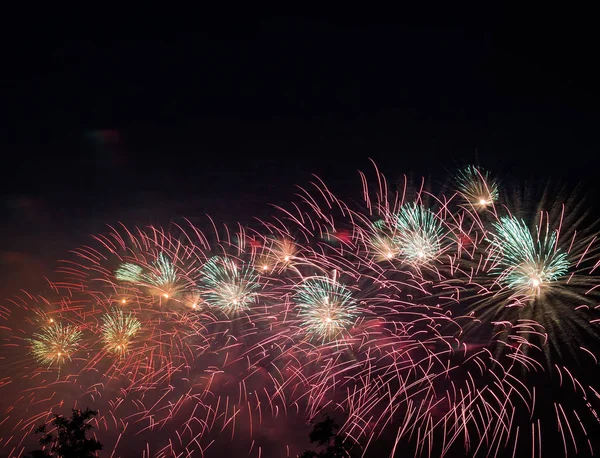 Fuegos Artificiales Fondo Árboles Cielo Oscuro — Foto de Stock