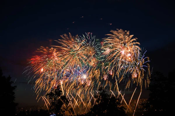 Fuochi Artificio Sullo Sfondo Alberi Cielo Scuro — Foto Stock