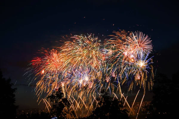 Fuochi Artificio Sullo Sfondo Alberi Cielo Scuro — Foto Stock