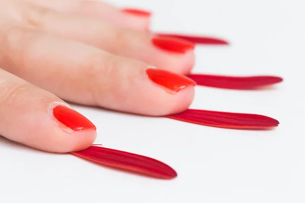Application of red nail Polish on the nails on the hand with a red petal of flowers
