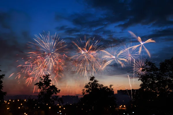 Colorful Festive Fireworks Trees — Stock Photo, Image