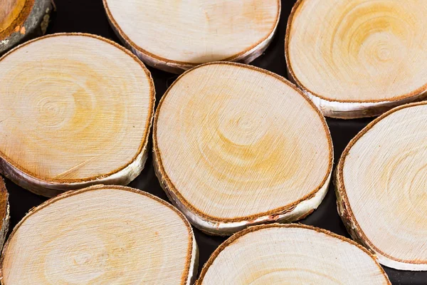 Esquejes Abedul Madera Materiales Respetuosos Con Medio Ambiente — Foto de Stock