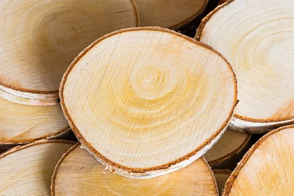 Esquejes Abedul Madera Materiales Respetuosos Con Medio Ambiente — Foto de Stock