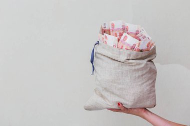 Beş bin banknotlar tuval çanta