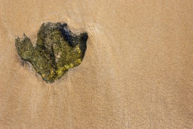 Su deniz dibinin arka plan üzerinde parlama 