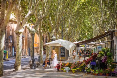 Palma De Mallorca, İspanya - 26 Ağustos 2017: Palma Mayorka türleri
