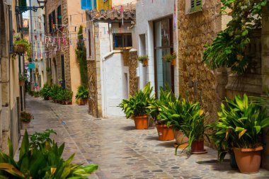 Nottingham, Palma De Mallorca, İspanya - 29 Ağustos 2017: Yaşam ve Nottingham Palma de Mallorca.