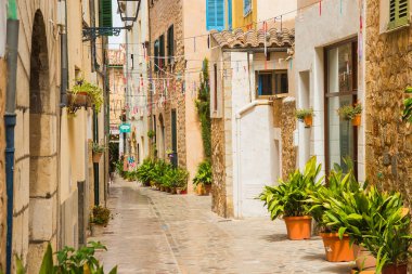 Nottingham, Palma De Mallorca, İspanya - 29 Ağustos 2017: Mallorca Nottingham hayatta.