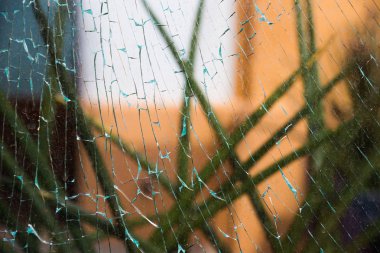 Çim zemin üzerine kırık cam