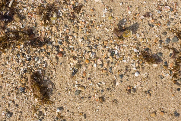 Yellow sand on the sea shore — Stock Photo, Image