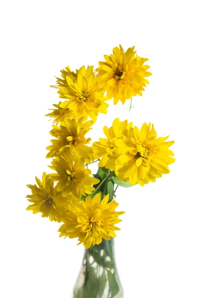 Bouquet Yellow Flowers Isolated White — Stock Photo, Image