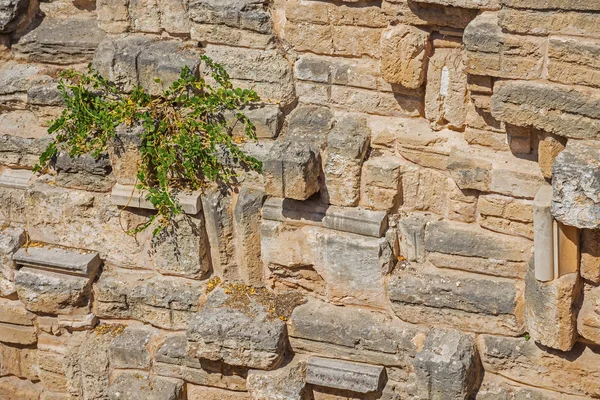 Ancienne Texture Mur Pierre — Photo