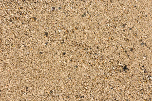 Κίτρινη άμμο στην ακτή της θάλασσας — Φωτογραφία Αρχείου