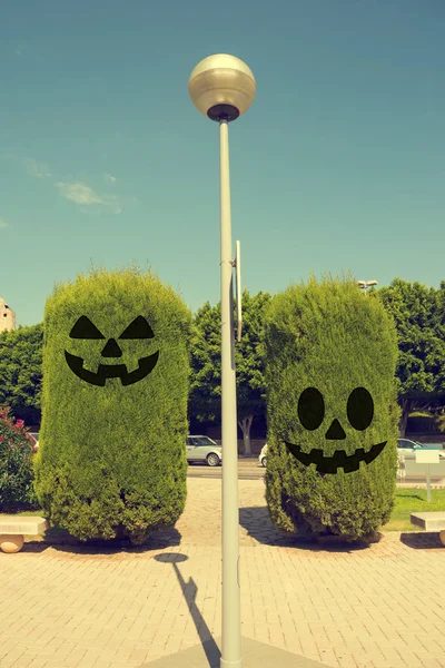 Two trimmed Bush with a face for Halloween