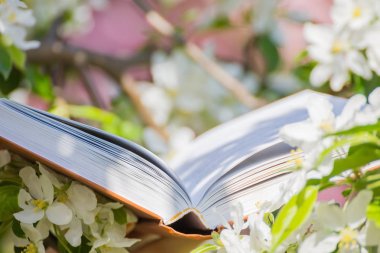 Elinde açık bir kitap ve baharda çiçek açan bir Elma bahçesi