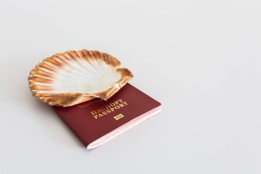 Pasaport ile deniz hayvanı kabuğu
