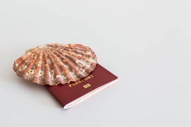 Pasaport ile deniz hayvanı kabuğu