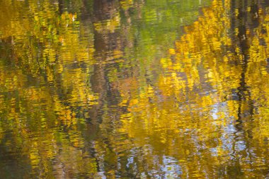 Sudaki sonbahar ağaçlarının yansıması